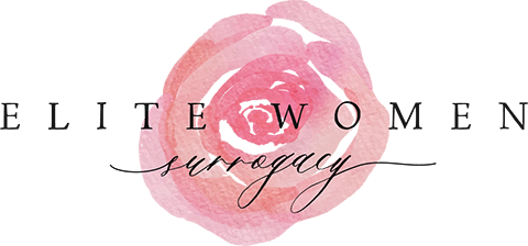 Best Surrogacy Agency in USA | You have to Know this if you are aiming for Surrogacy in the USA 3